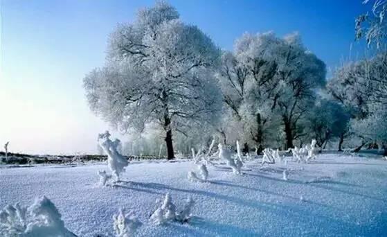 春节旅游3-4天攻略最佳线路：江南水乡与北国冰雪的完美假期