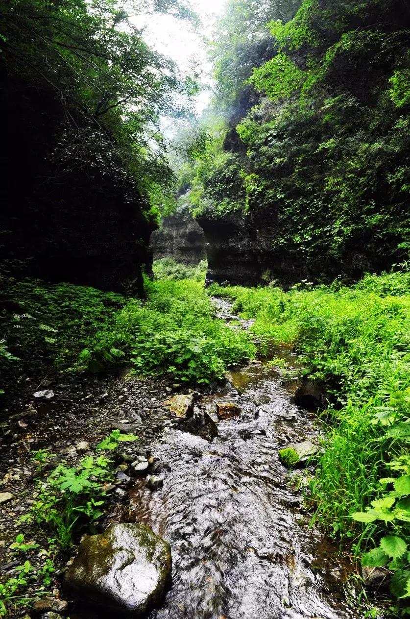 广西灵山旅游景点哪里好玩？带你解锁喀斯特秘境，体验山水人文的治愈之旅