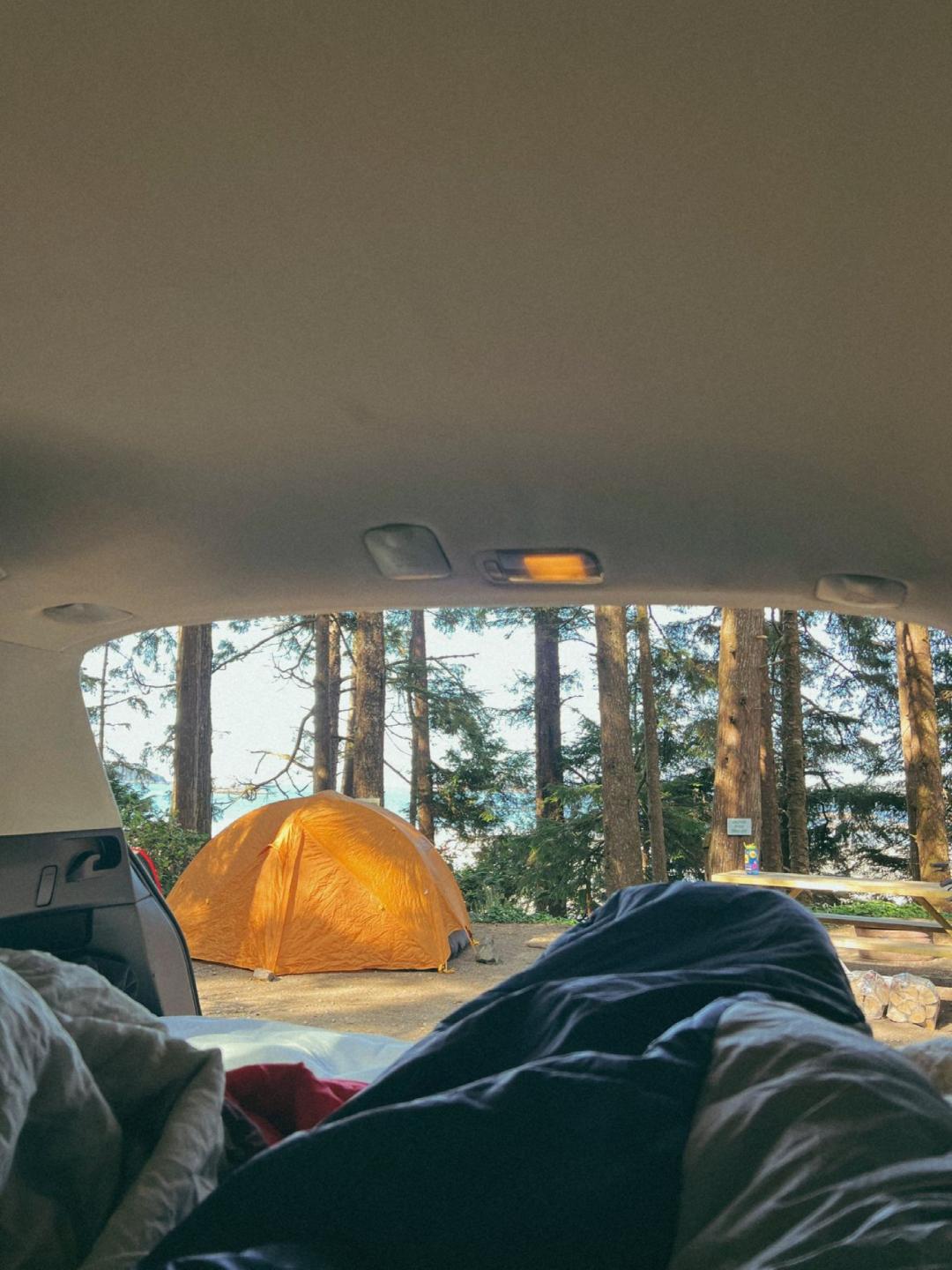 一日游旅游团报名全攻略：省心省力玩转周末，告别旅行烦恼