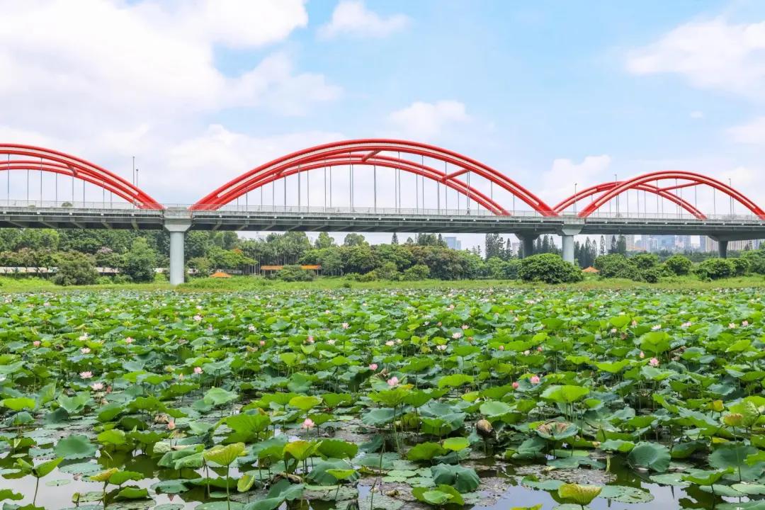 一日游旅游团报名全攻略：省心省力玩转周末，告别旅行烦恼