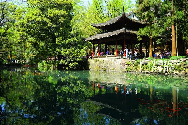 杭州一天游玩的地方有哪些？西湖、灵隐寺、龙井村等一日游攻略，轻松避开人潮，玩得尽兴！